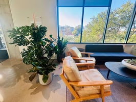 Soil-Based vs Hydroponic Plant Systems for office plants