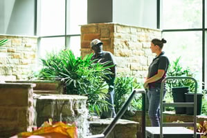 How much does corporate interior plant service cost in 2026