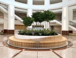 Outdoor plants for commercial space in Texas and Florida