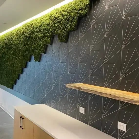 JLL-Crabtree-Terrace-NC-MossWall-NaturaHQ-16x12k-570x570
