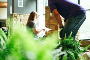 Most common plant problems in corporate offices 