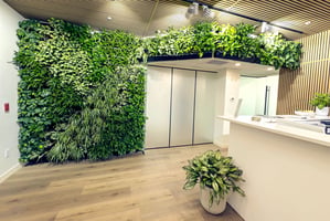 Which Green Wall Systems Work Best for Commercial Buildings?
