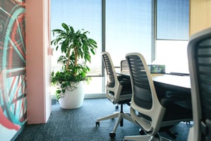 Rent vs Purchase Indoor Plants: What’s Best for Corporates in 2026