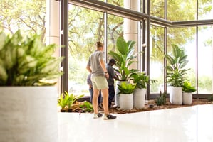 Soil-Based vs Hydroponic Plant Systems for office plants