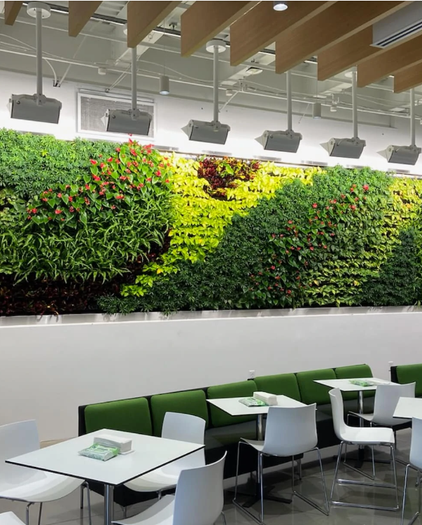 benefits of living walls