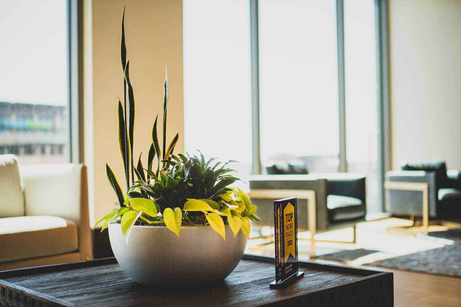 Office lobby with variety plants in silver container