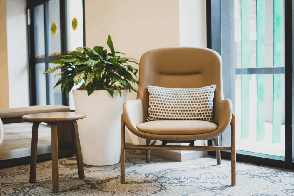 Hotel pause area with indoor plant in a white pot 