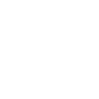 X icon 